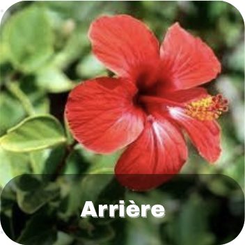 Arrière